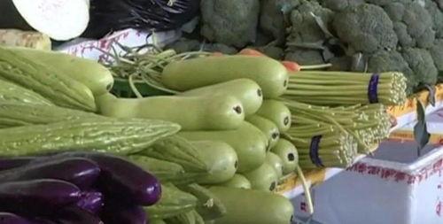 瓜不苦怎么吃,轻松解锁美味新体验  第3张