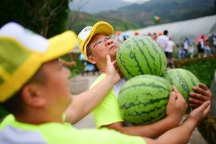 30楼吃瓜群众,揭秘高楼里的八卦风云 第1张 30楼吃瓜群众,揭秘高楼里的八卦风云 第1张