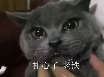 暴躁喵吃瓜,揭秘娱乐圈那些不为人知的幕后故事  第3张