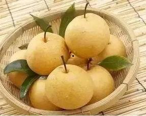 小孩吃梨瓜发烧,家长需警惕的饮食安全  第3张