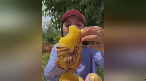 吃瓜影响寿命吗 第2张 吃瓜影响寿命吗 第2张