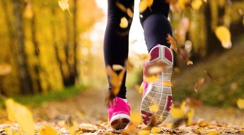 跑步训练吃瓜视频,揭秘健身达人的快乐源泉 第1张 跑步训练吃瓜视频,揭秘健身达人的快乐源泉 第1张