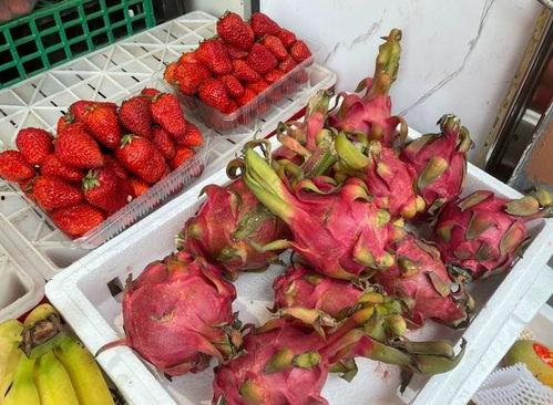 羊角瓜几月份吃,羊角瓜最佳食用月份大盘点 第2张 羊角瓜几月份吃,羊角瓜最佳食用月份大盘点 第2张