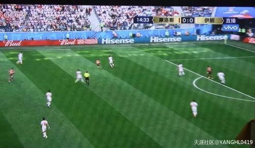 足球纪录吃瓜群众  第1张