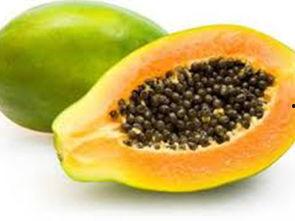 吃瓜数籽,揭秘瓜果中的奇妙世界 第1张 吃瓜数籽,揭秘瓜果中的奇妙世界 第1张