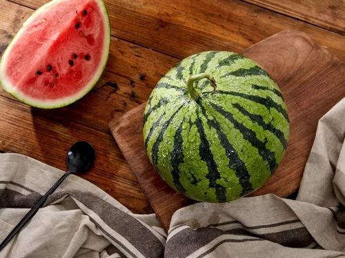 上海吃瓜文化公司,揭秘都市里的“瓜田”盛景  第2张