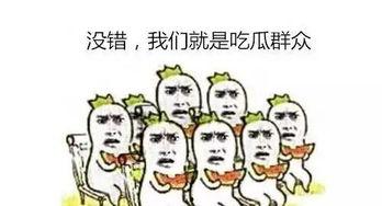 吃瓜不说瓜什么意思 第2张 吃瓜不说瓜什么意思 第2张