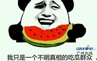 吃瓜不说瓜什么意思 第3张 吃瓜不说瓜什么意思 第3张