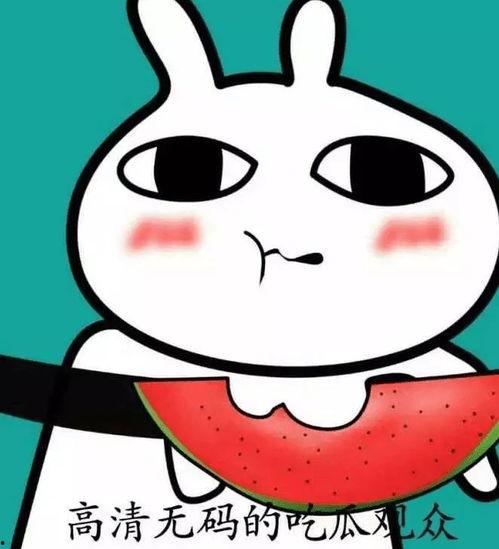 路人吃瓜群众头像 第2张 路人吃瓜群众头像 第2张