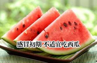 感冒了吃瓜,吃瓜助力恢复健康  第2张