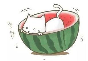 吃瓜的中国球,瓜田里的中国足球风云录  第1张