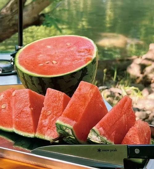 51吃瓜密码多少,探寻网络热点的背后真相  第3张