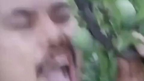 吃瓜摸头视频大全  第3张