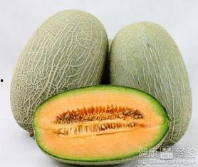 小羊吃哈密瓜,小羊的快乐哈密瓜时光  第3张