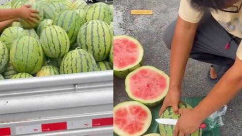 小杨哥吃生瓜还是熟瓜,揭秘他的健康饮食智慧  第3张